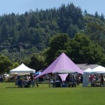 The Garden Faire spreads out on Skypark's playing fields-300
